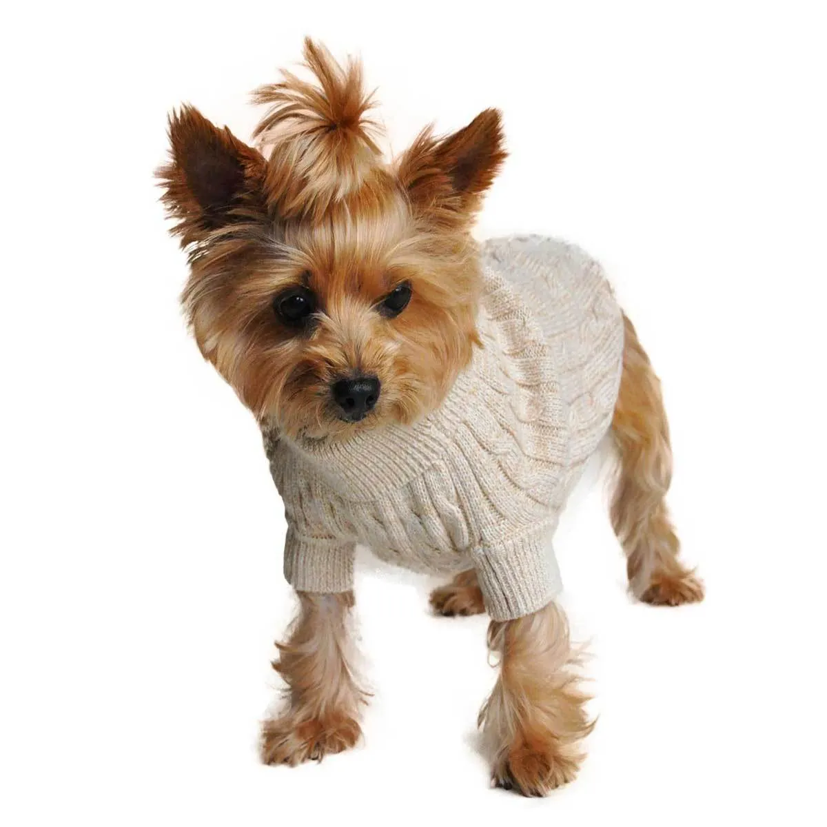 Cable Knit Dog Sweater in Beige