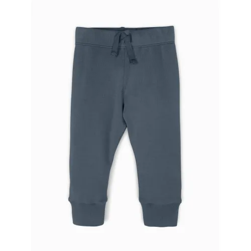 Colored Organics Cruz Jogger (Harbor)