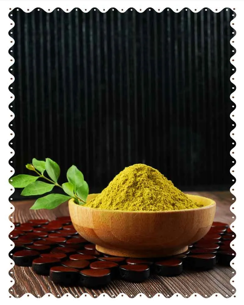 Kalagura Gampa Natural Pure Indigo Powder, 500gm - Green