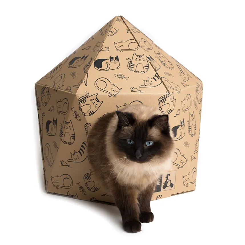 Kitten Around - Geo Cardboard Cat House