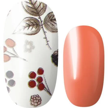 Lily and Fox - Nail Wrap - All Spice