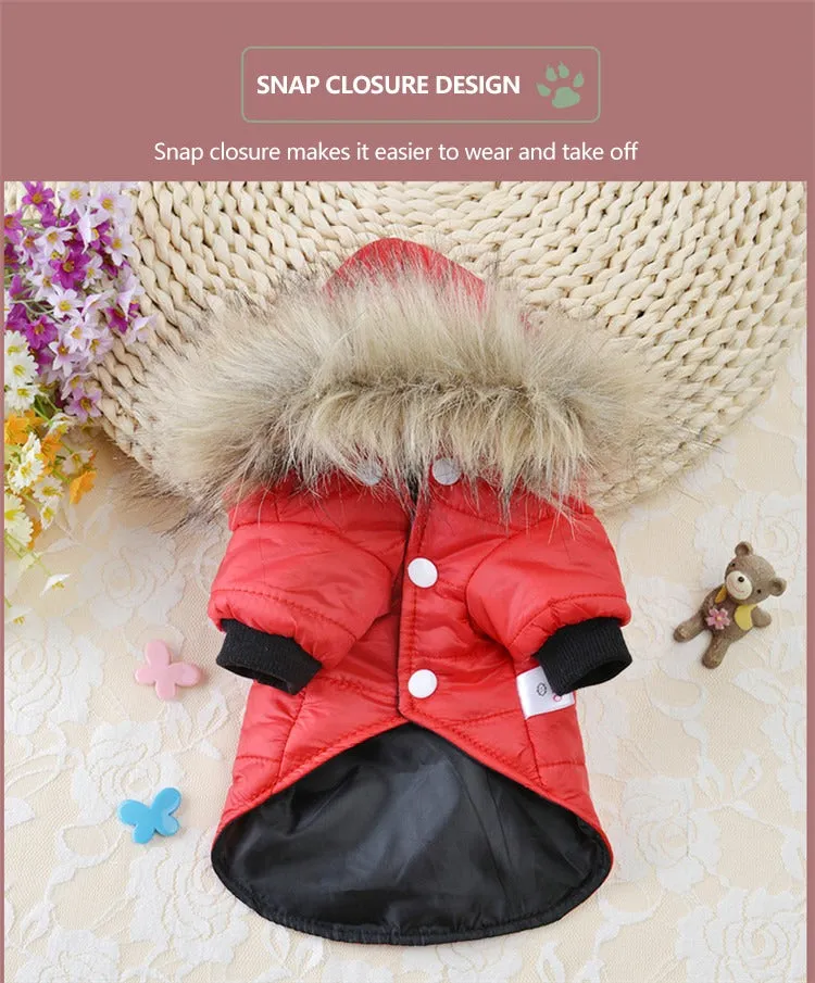 Pet Clothing Winter Puffer Coat Luxury Cotton Light Warm Down Jacket Dog Two-Leg Cotton Suit Pet Clothes |