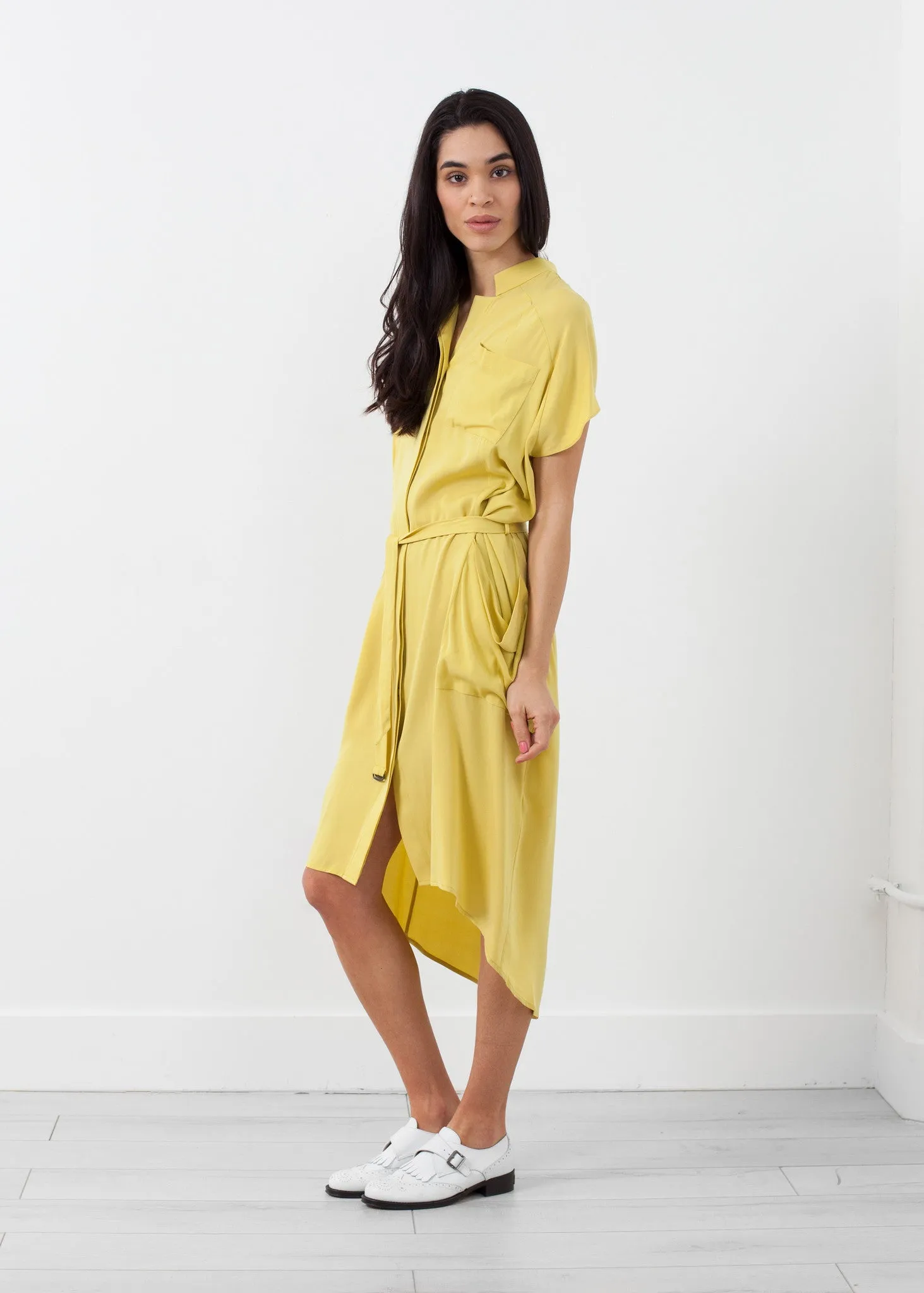 Ultime Silk Shirt Dress